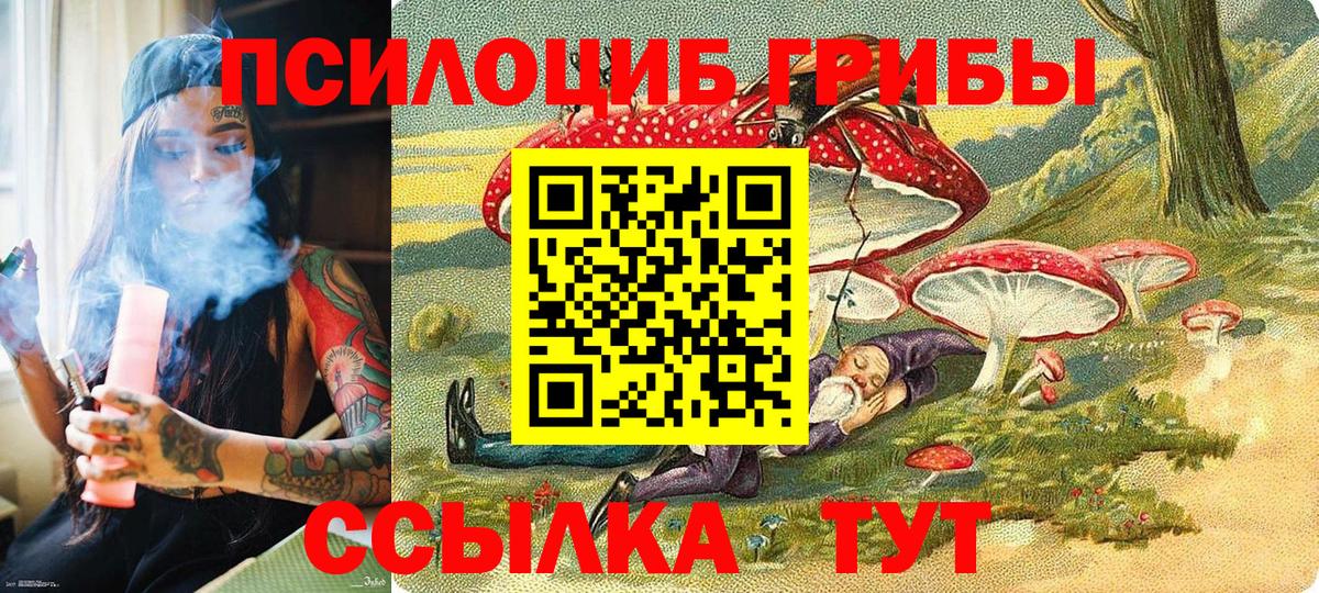 A-PVP Медногорск