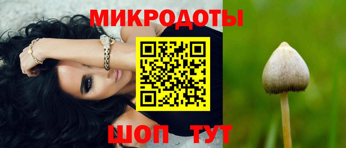 Медногорск  Галлюциногенные грибы мухоморы  Вход с VPN  Псилоцибиновые грибы GOLDEN TEACHER 